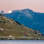 Domaine Du Deven *