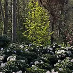 Domaine Du Deven *