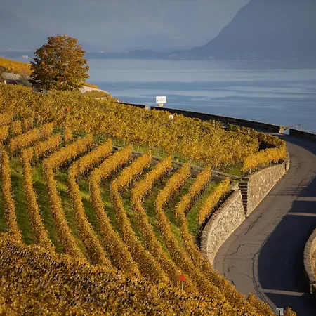 Apartment Domaine Du Deven *