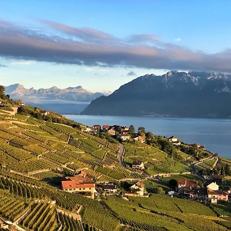 Domaine Du Deven Grandvaux