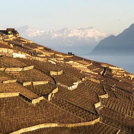 Domaine Du Deven Apartamento Grandvaux