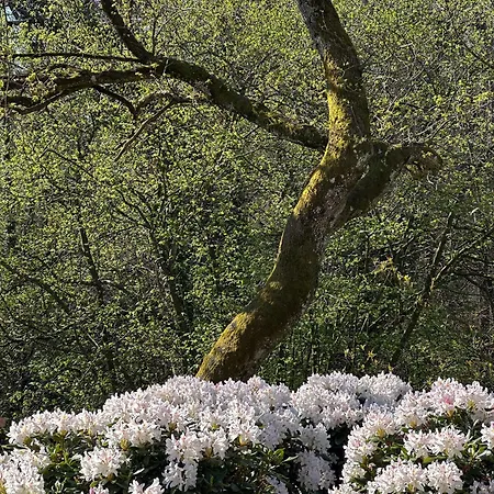 Domaine Du Deven * Grandvaux