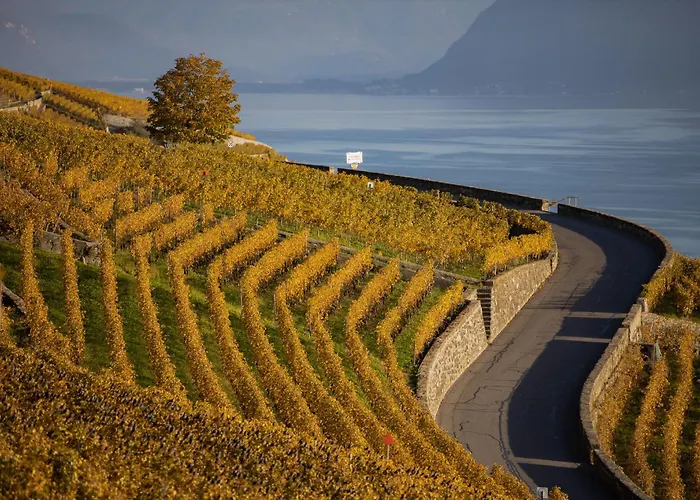 Apartament Domaine Du Deven *