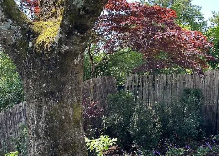 Domaine Du Deven Apartament *