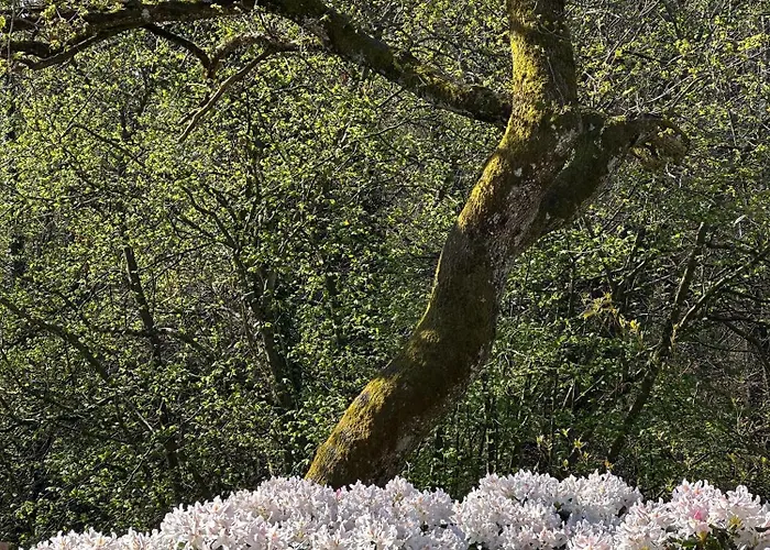 Domaine Du Deven * Grandvaux