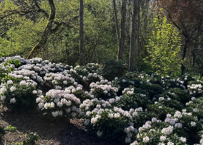 Domaine Du Deven * Grandvaux