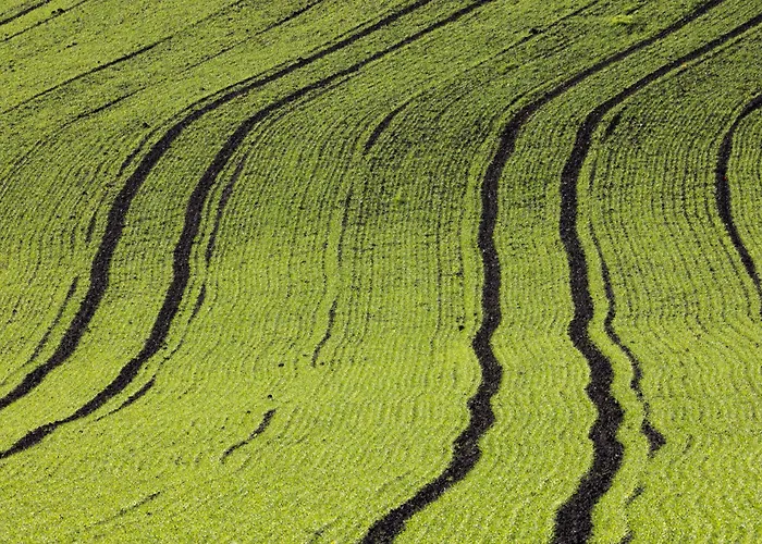 Domaine Du Deven Apartmán