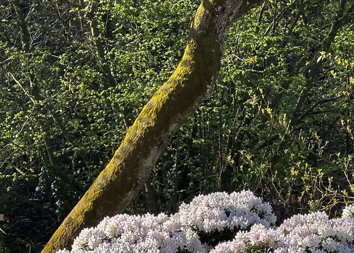 Apartmán Domaine Du Deven *